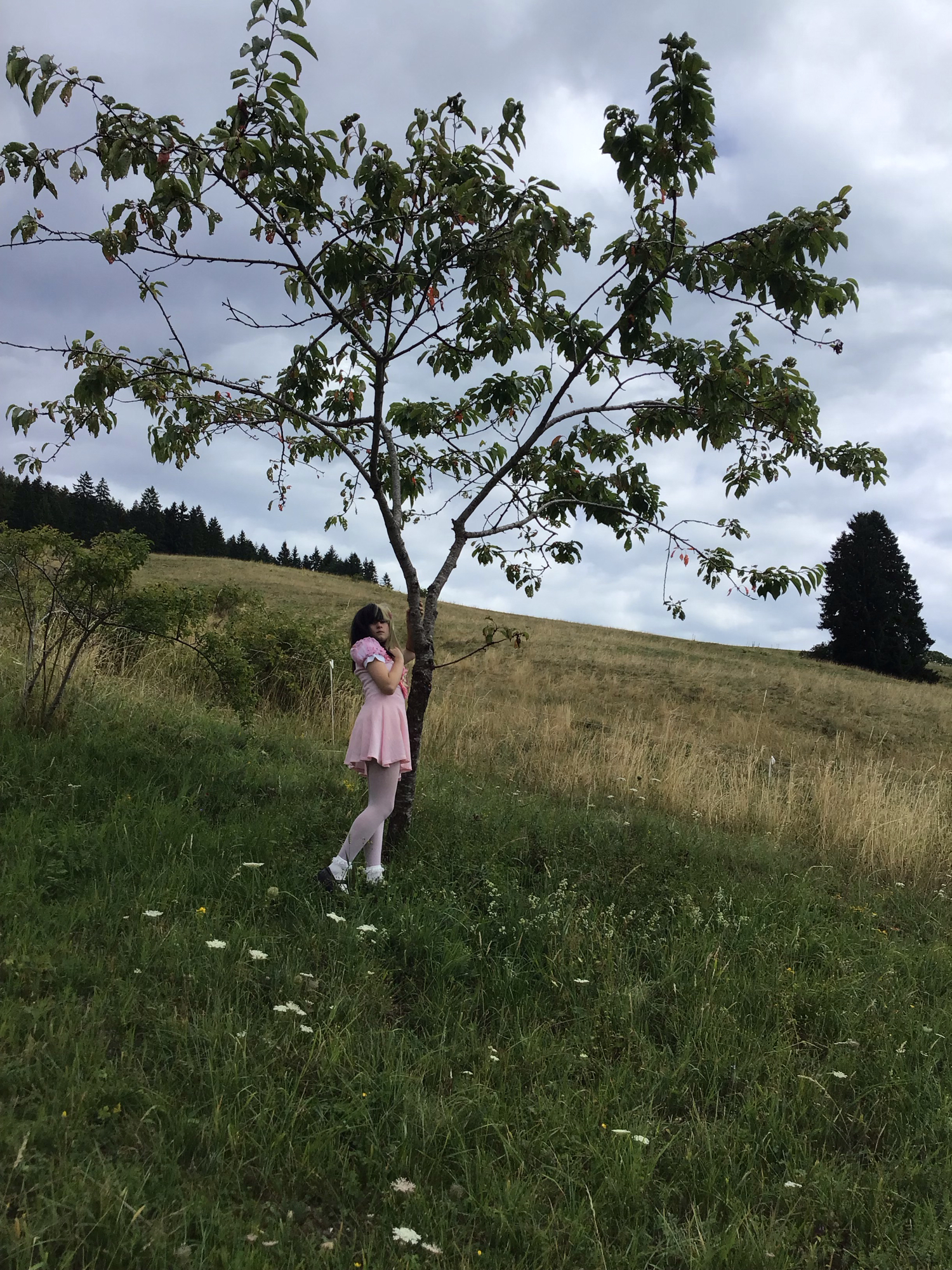 K-12 — photo 15