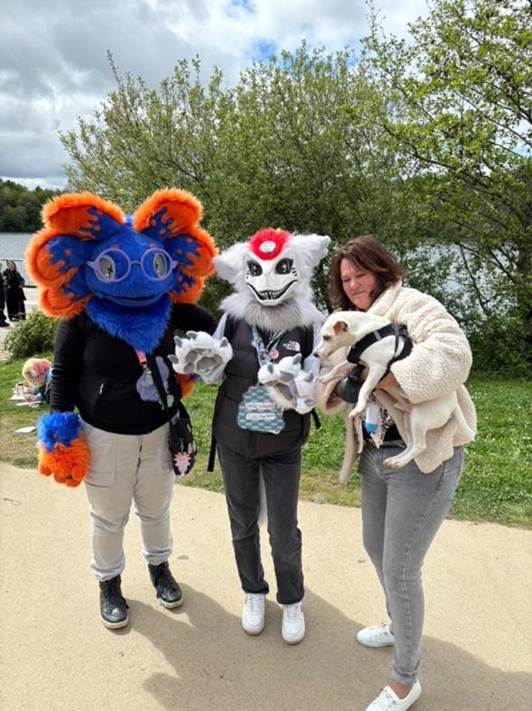 Stellar à japanante - Photo 5