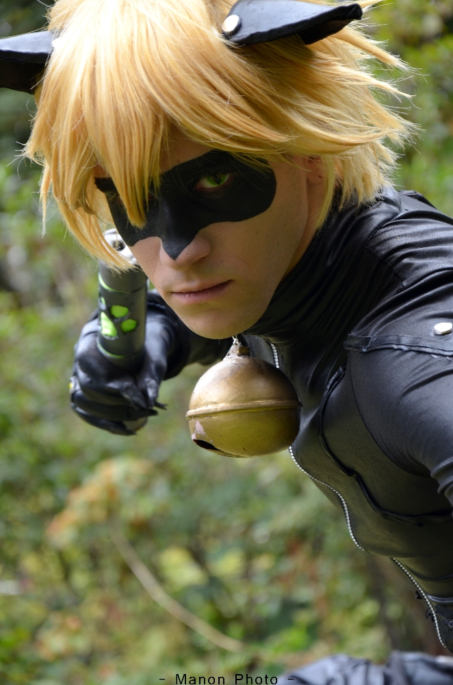 Chat Noir 02 - Photo 4