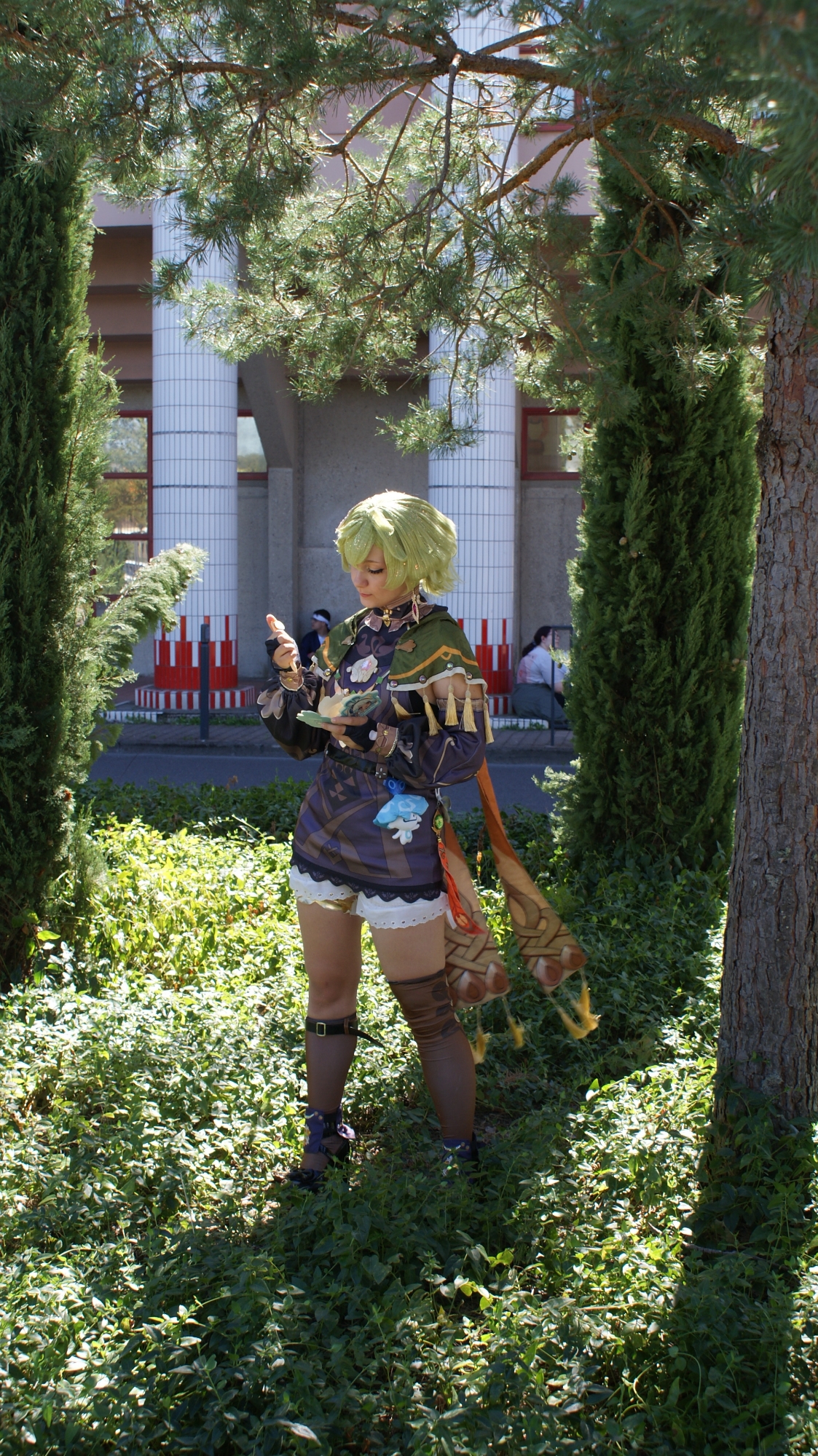 Collei — photo 9