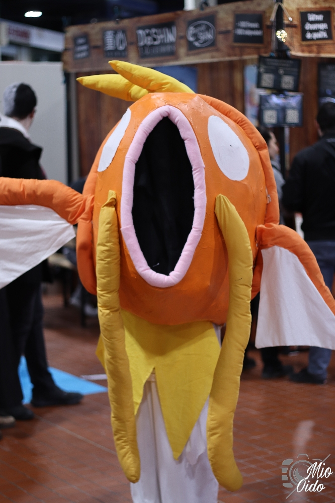 Angers 2022  - Photo 2