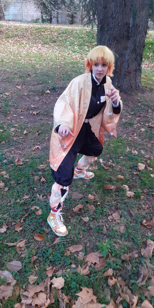 Zenitsu Agatsuma  - Photo 5