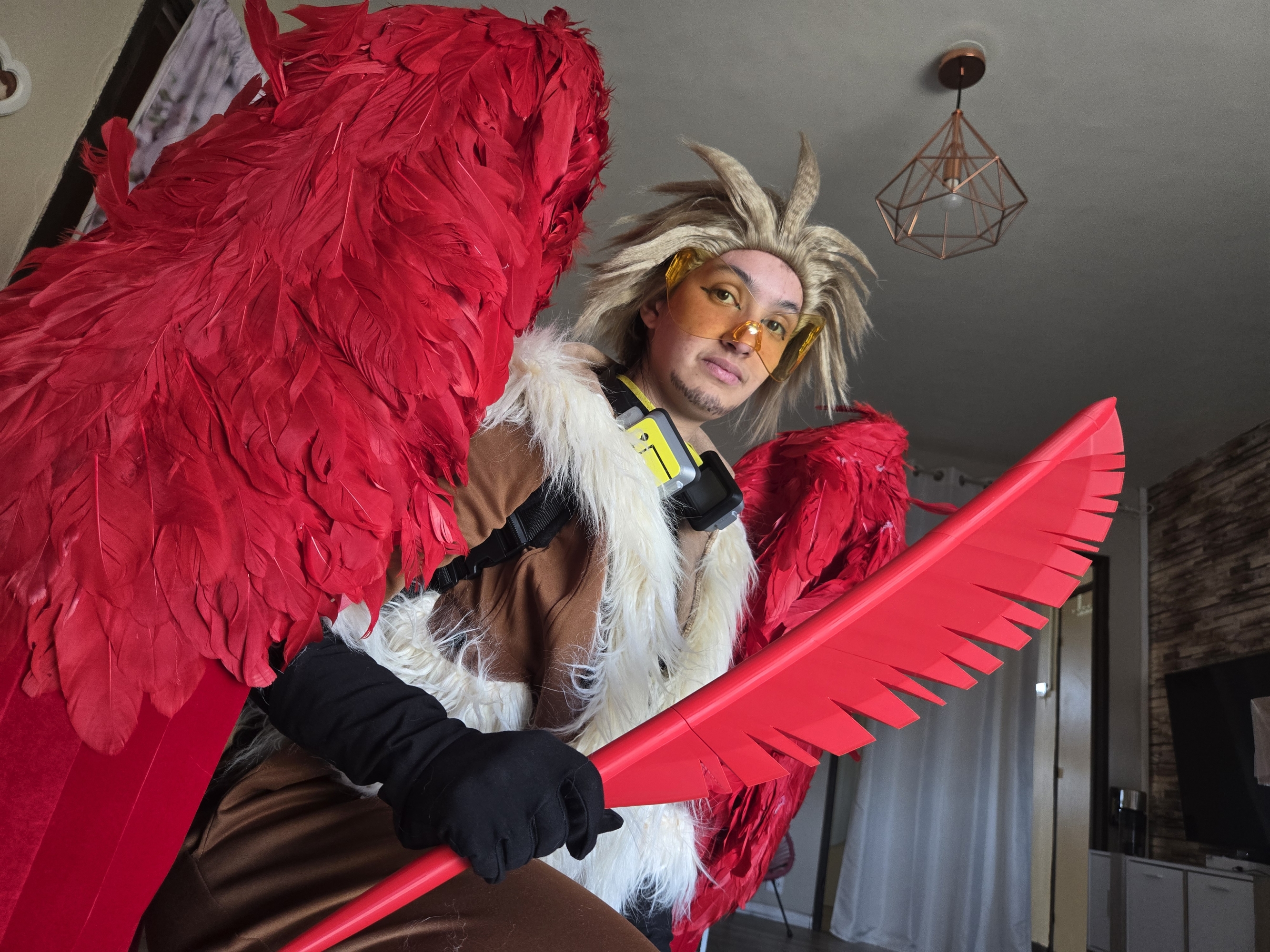 Hawks — photo 70