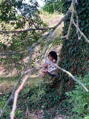 Princess Mononoke preview 3