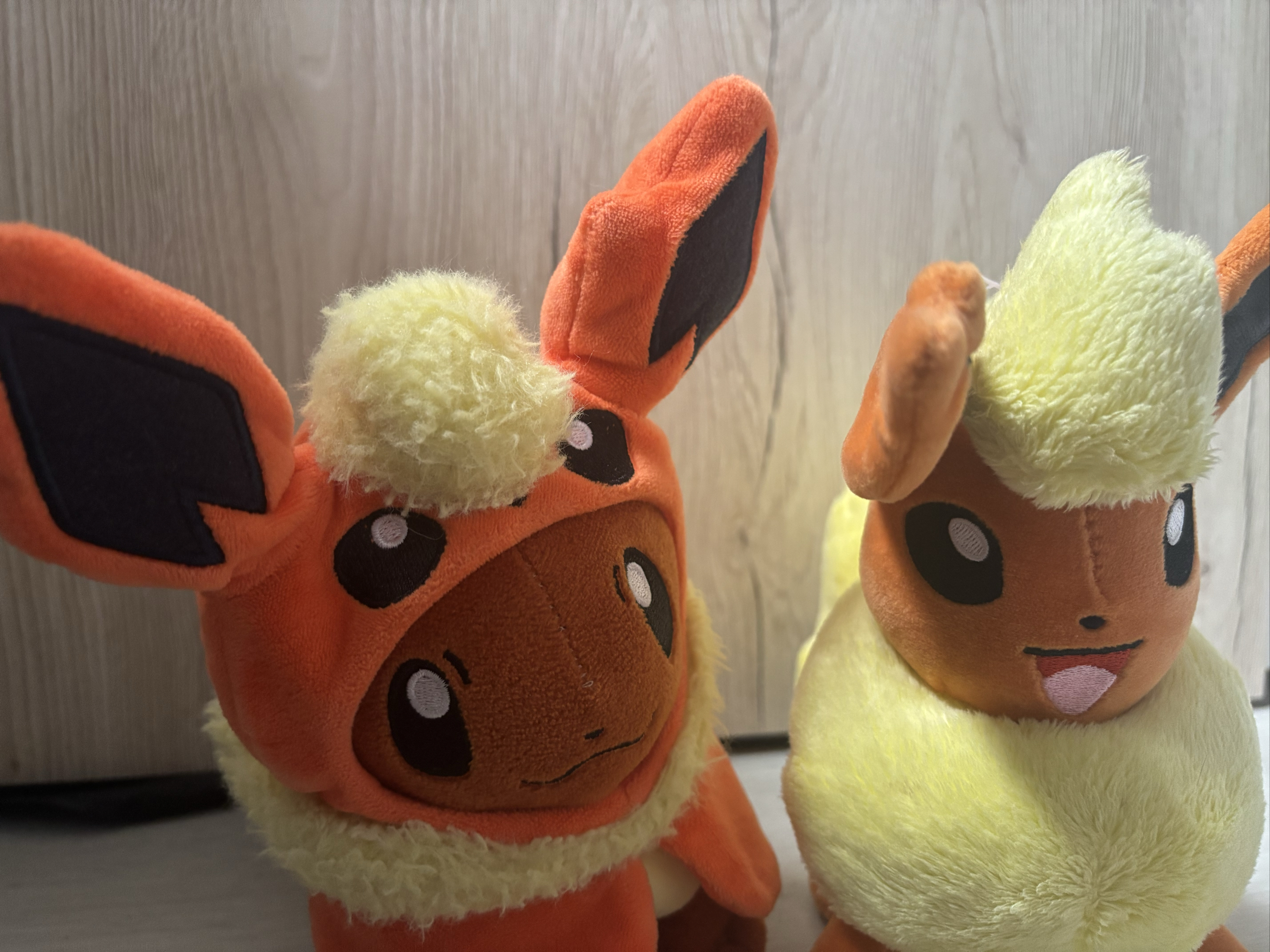 Evoli en Pyroli  - Photo 12