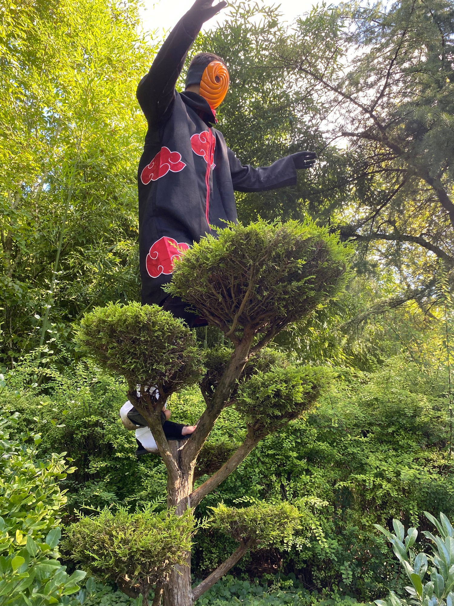 Tobi — photo 27