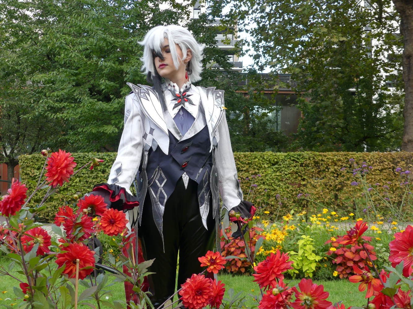 Arlecchino - Photo 8