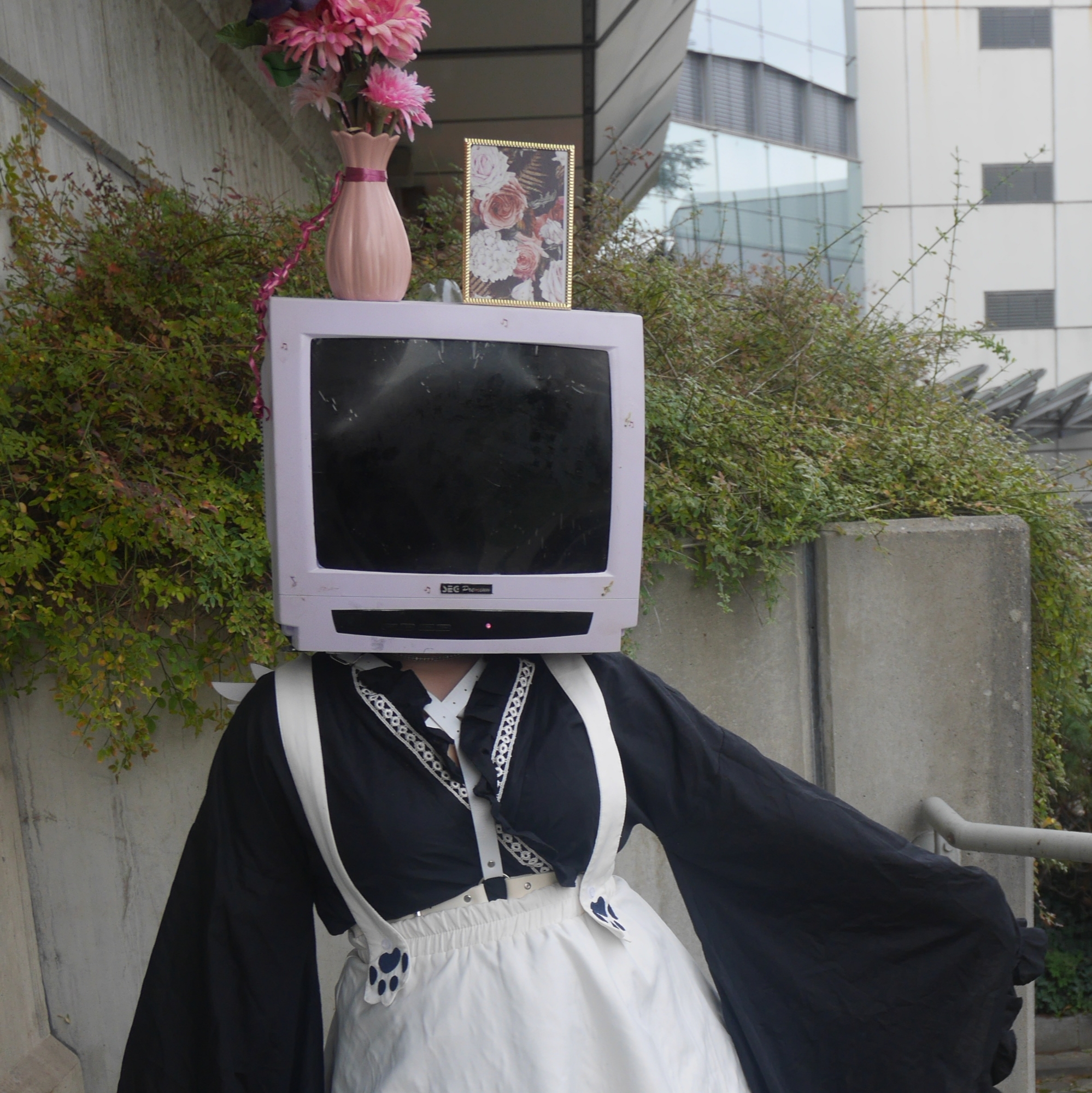 TV-Head