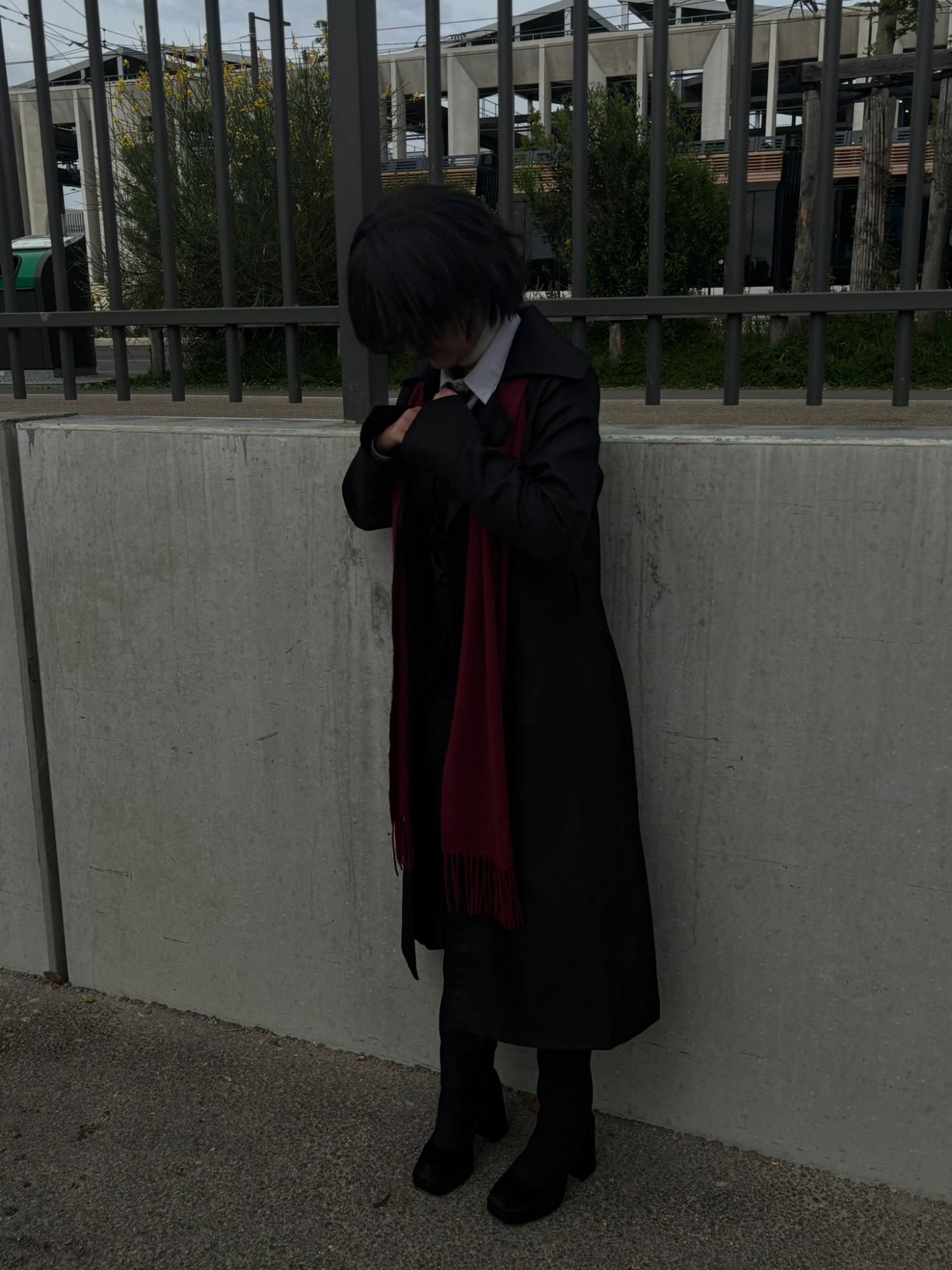 Beast Osamu dazai — photo 8