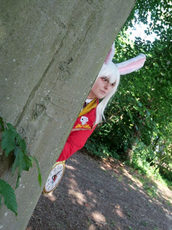 Calamity_garnet – Lapin blanc d'Alice