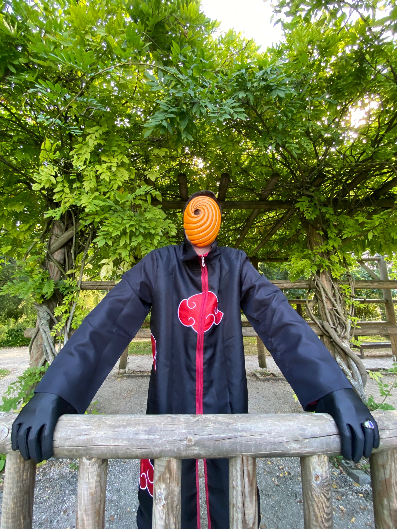 Tobi — photo 6
