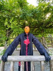 Tobi preview 2