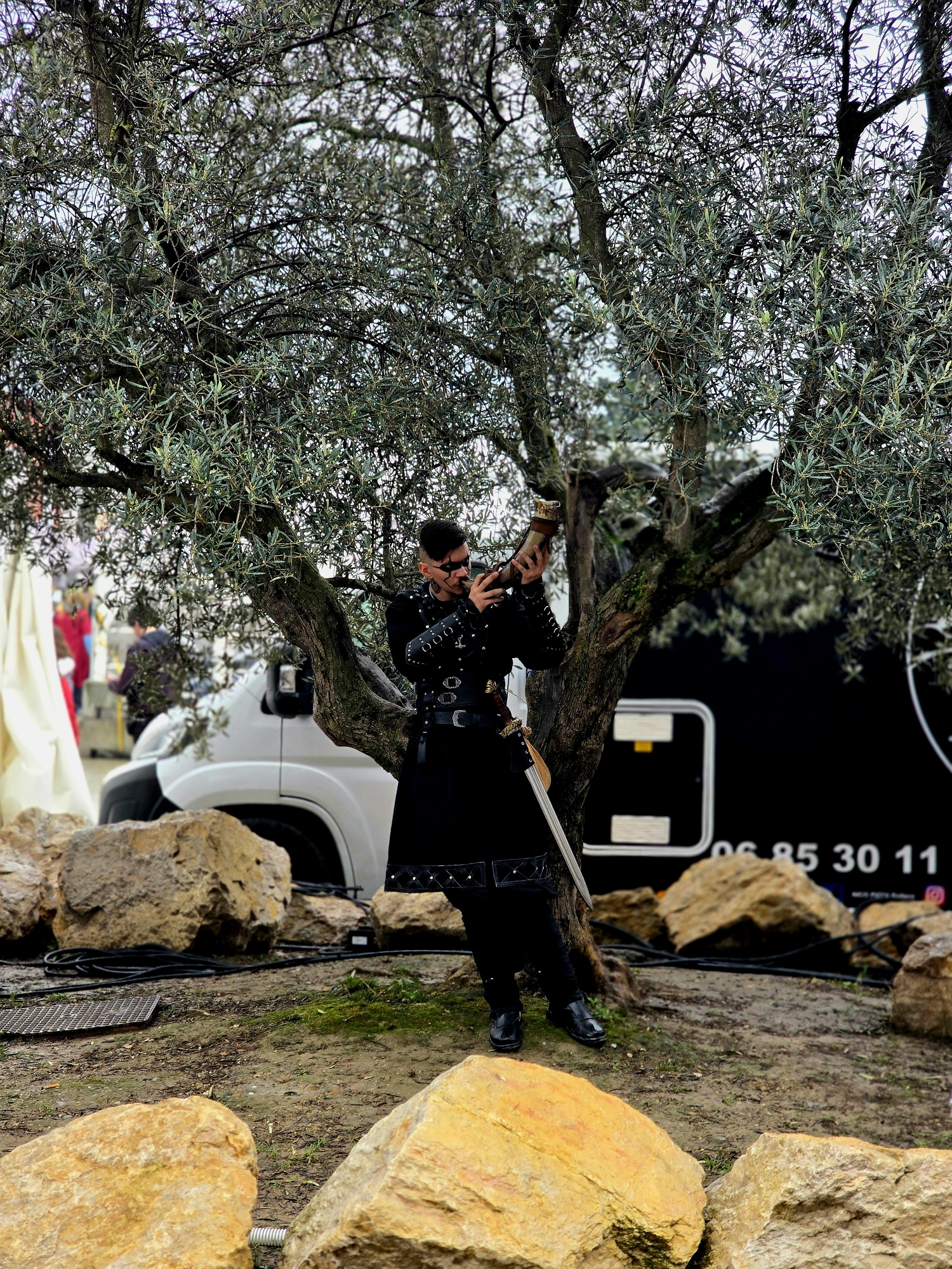 Viking, photo 15