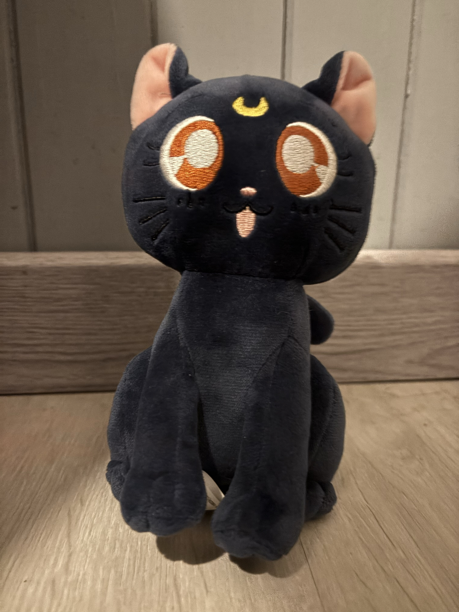 Chat (Sailor moon) - Photo 3