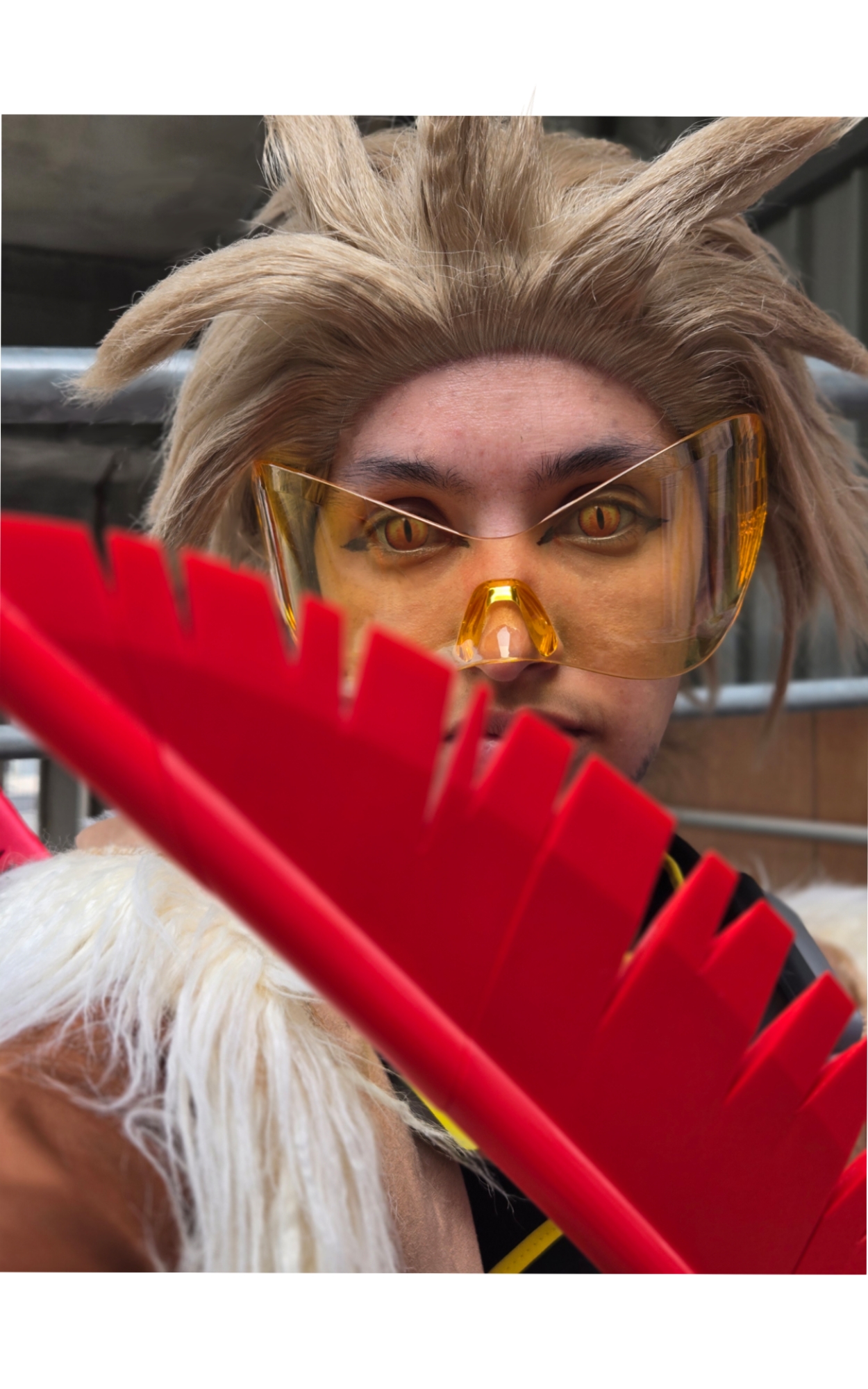 Hawks — photo 15