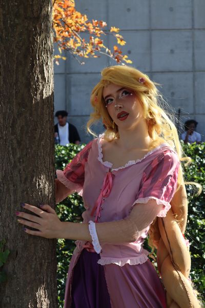 _s1lent_ech0splay, Rapunzel PM 2026