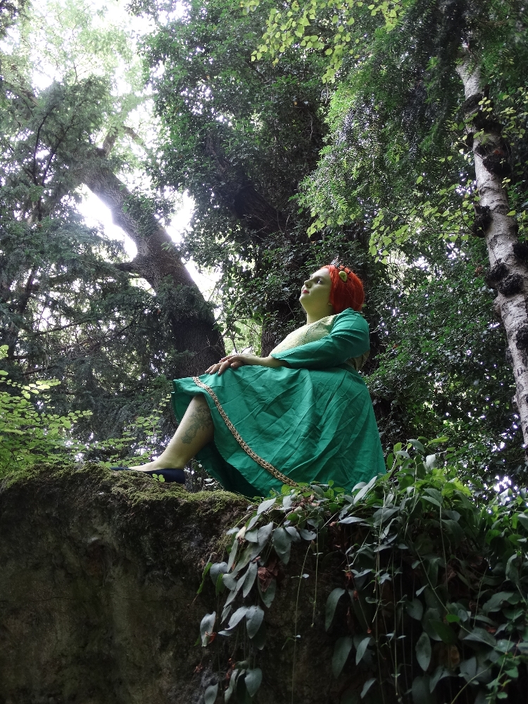 Fiona (shrek) - Photo 4