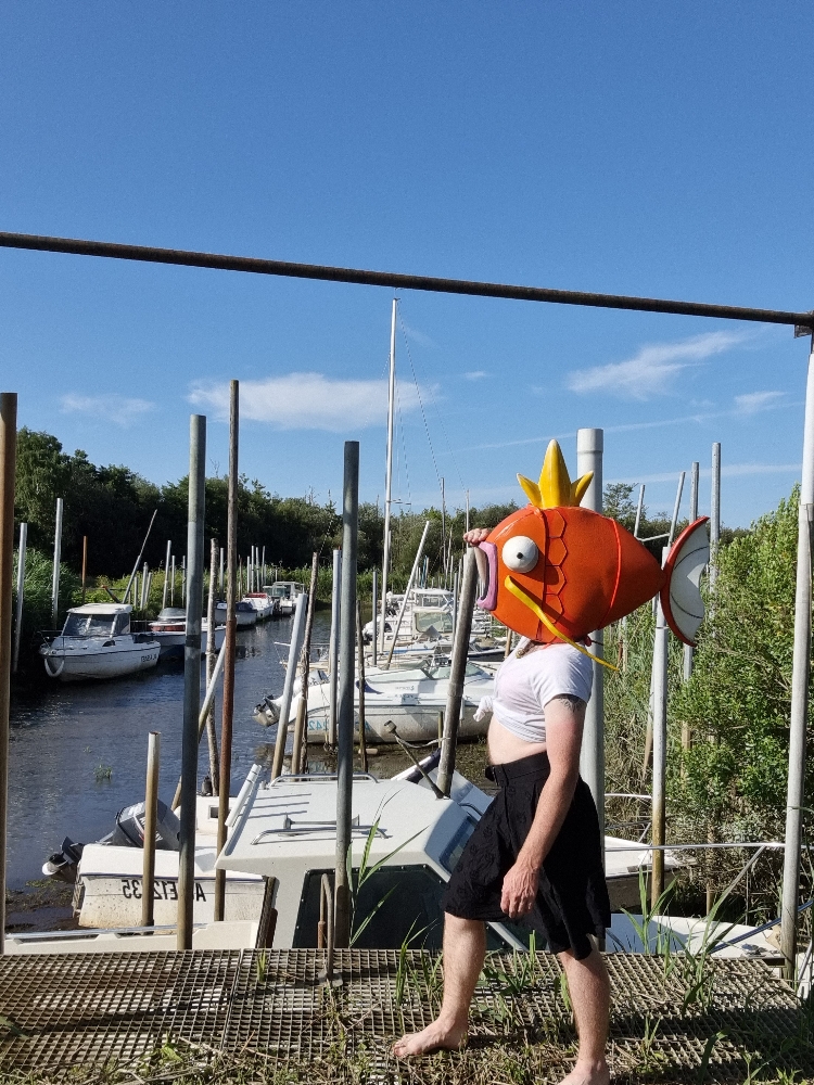 MagicarpettePortBiga - Photo 8