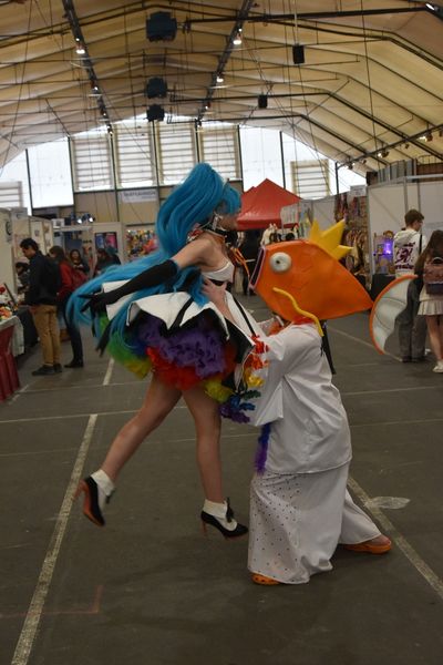 Phoenixas - Japan Chateauroux 1