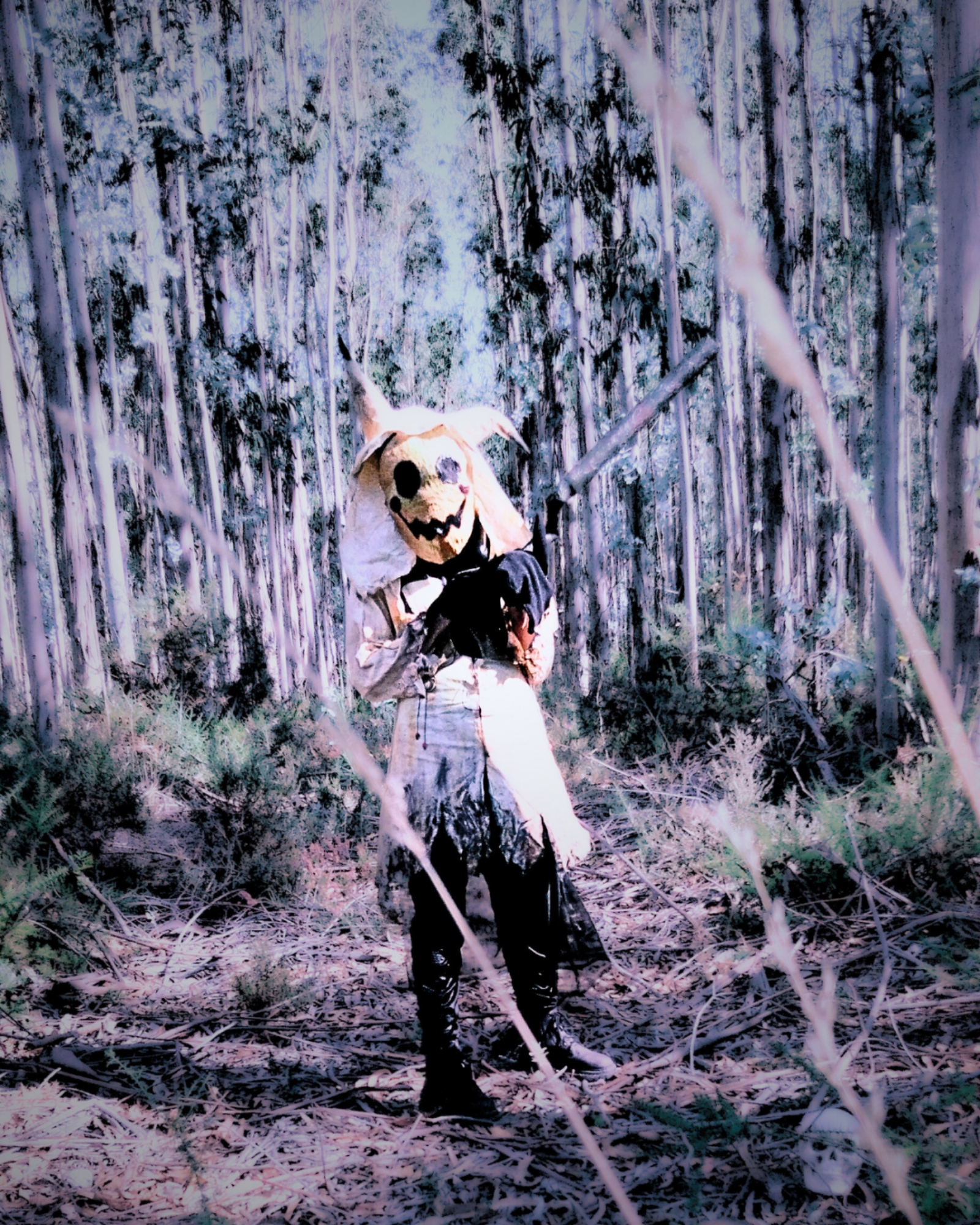 Mimikyu — photo 8