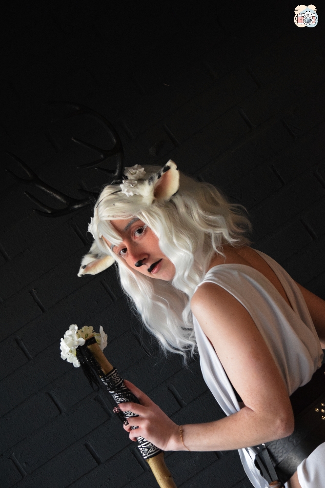 Faune noir et blanc - Photo 17