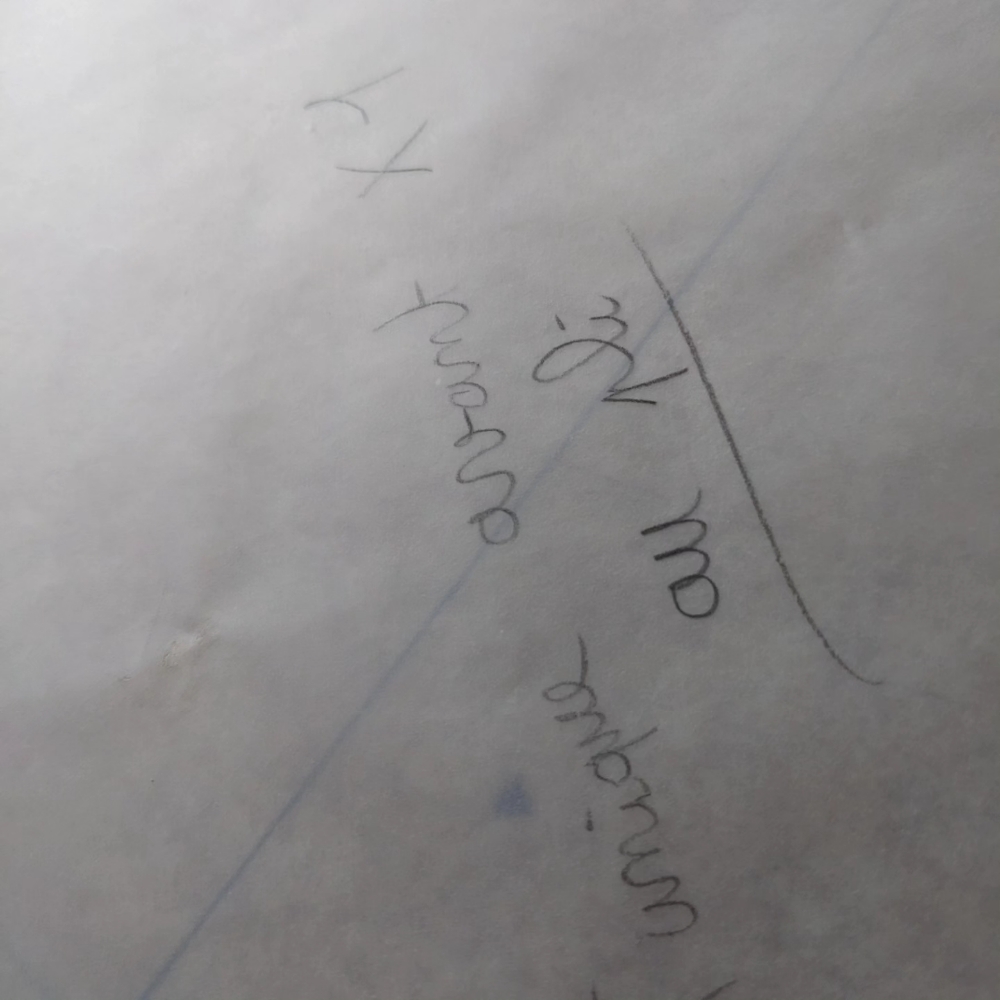 Patronnage et test Casca - Photo 2