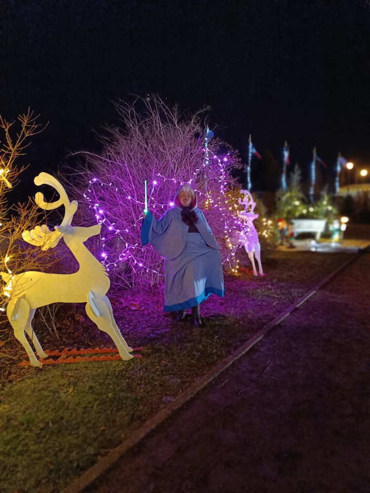 Bonne fée de Noël — photo 10