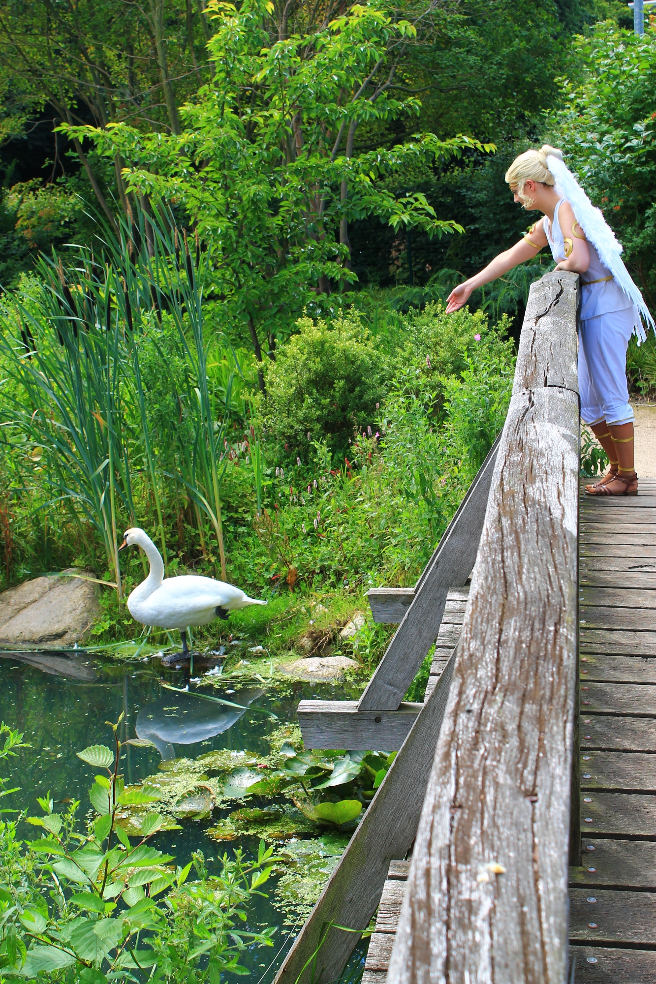 Angel (Tekken 2) - Photo 4