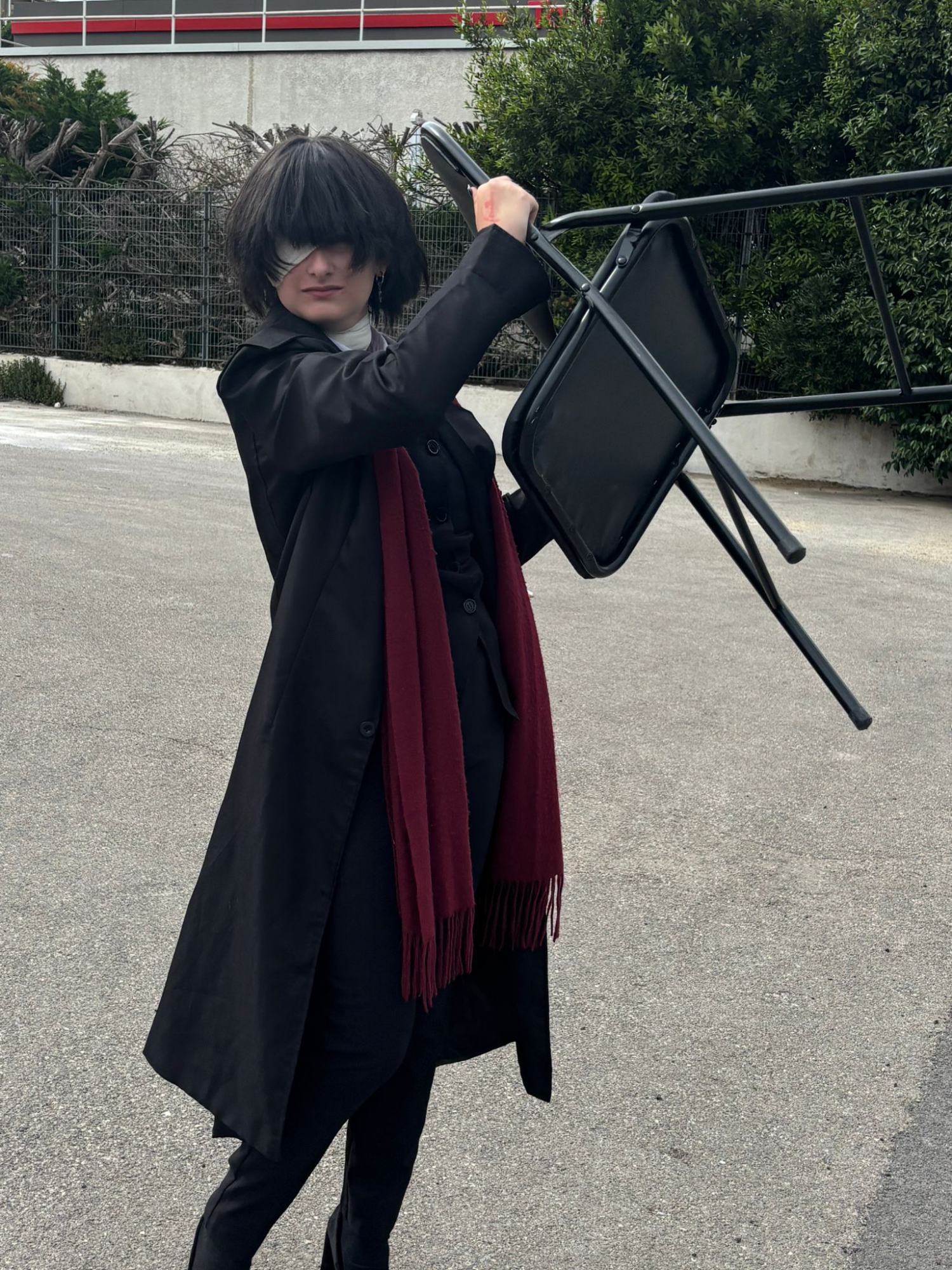 Beast Osamu dazai — photo 19