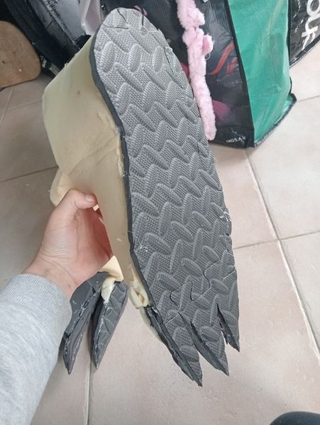 Dragona - Wip Dogday pied