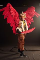 Hawks preview 3