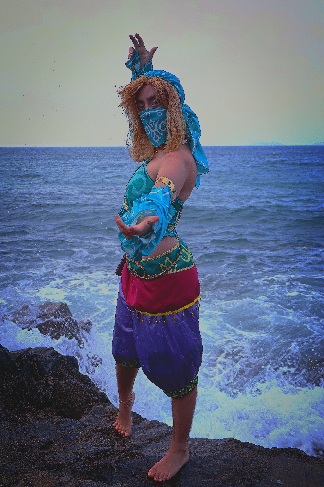 Link gerudo plage - Photo 3