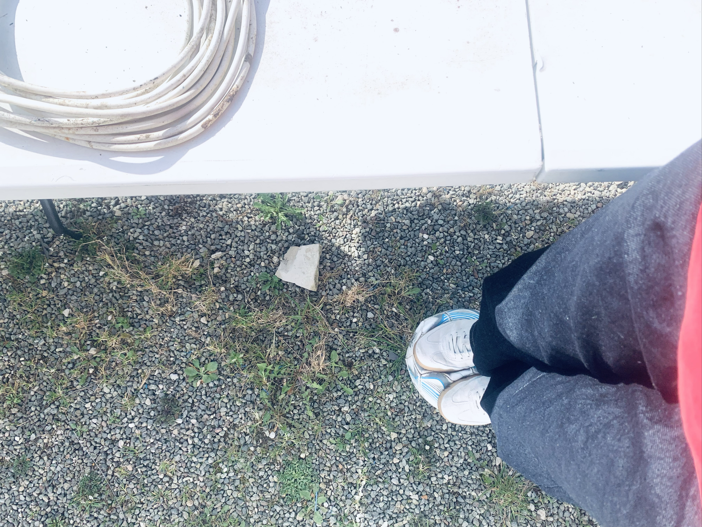 Shoto — photo 27