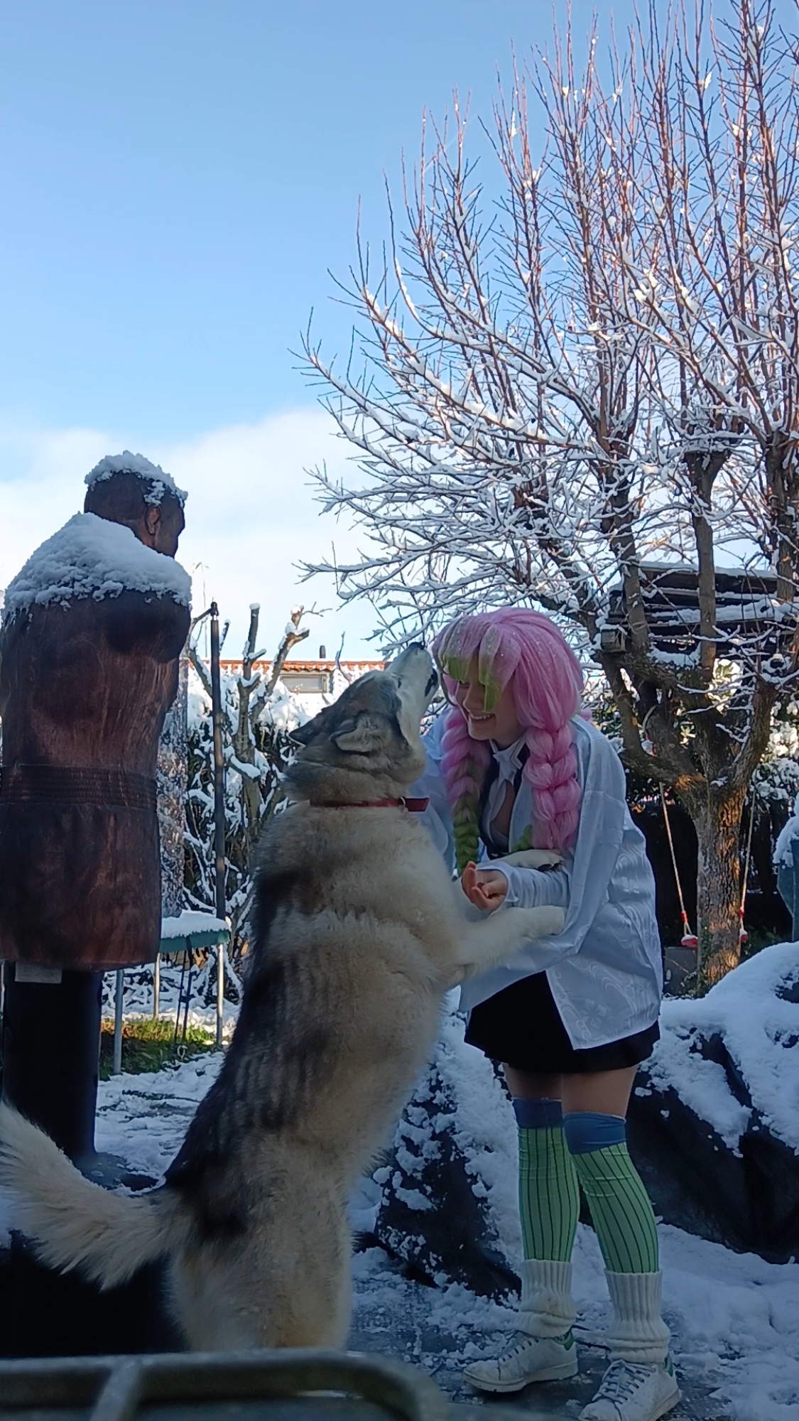 Mitsuri Kanroji - Photo 25