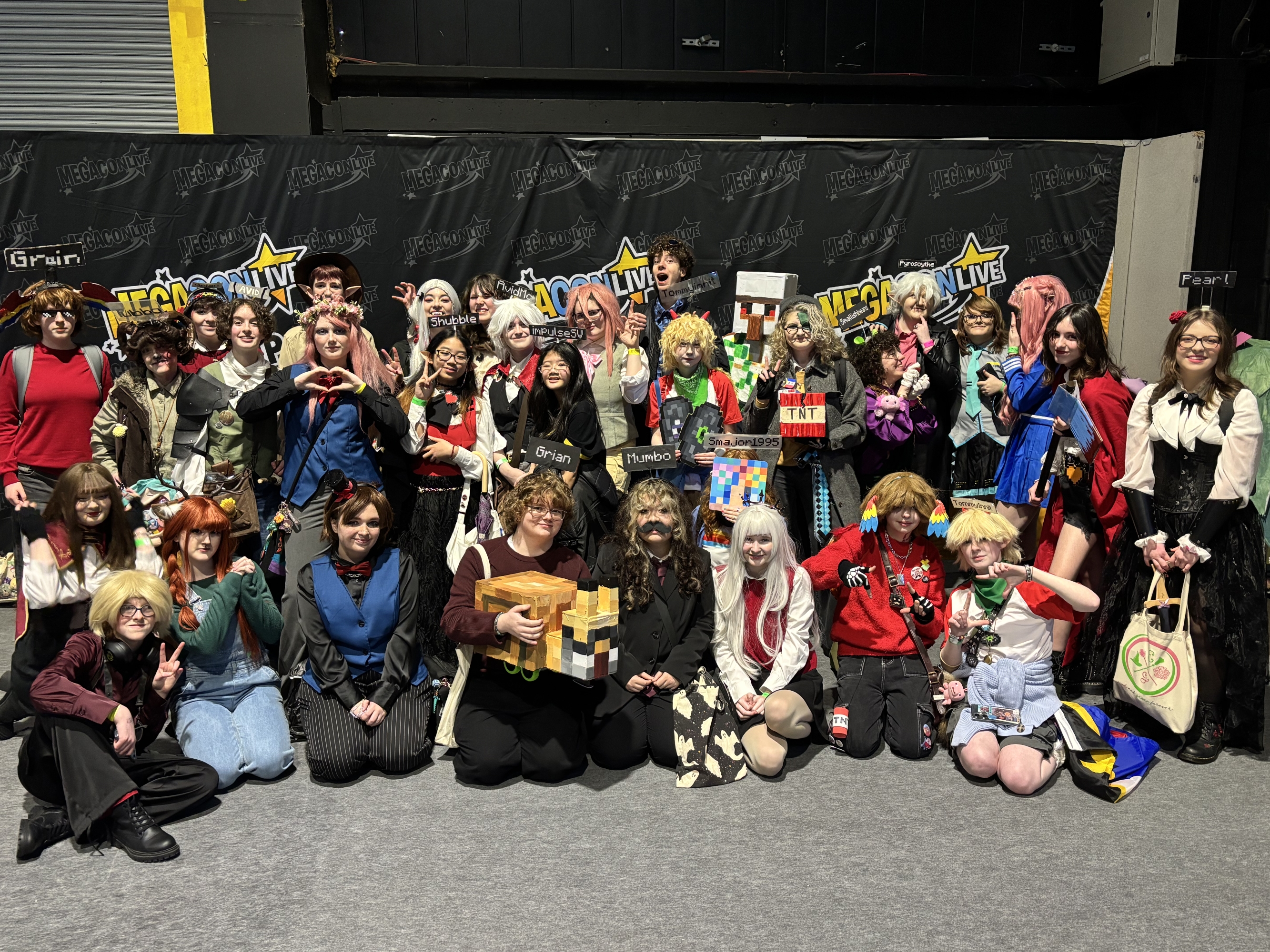 Dublin megacon '26 — photo 28