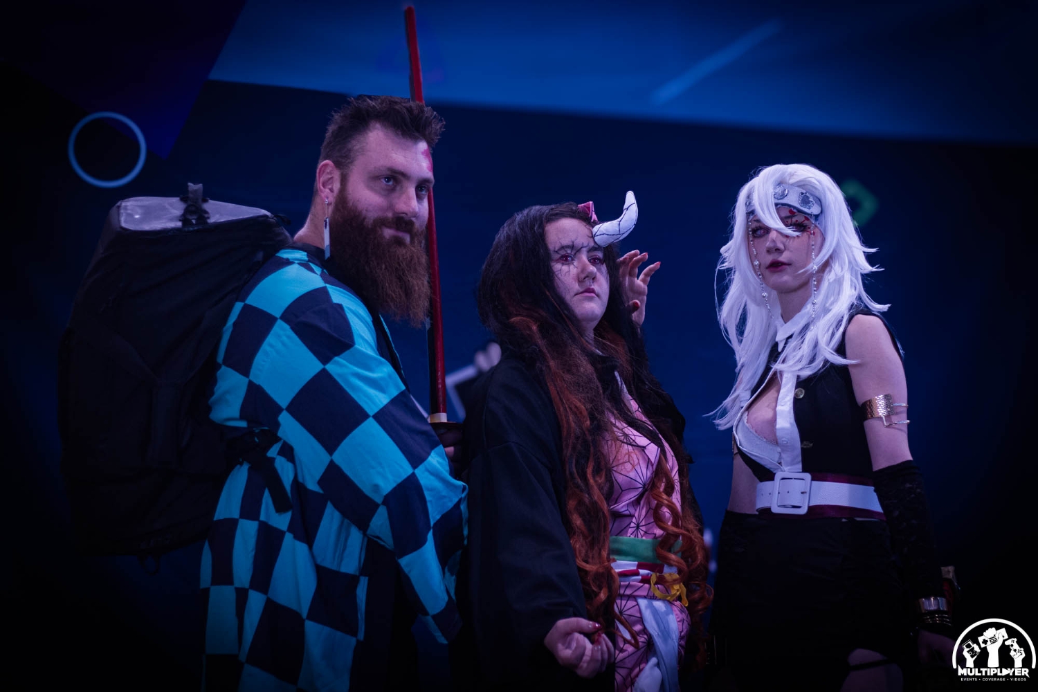 Nezuko — photo 13