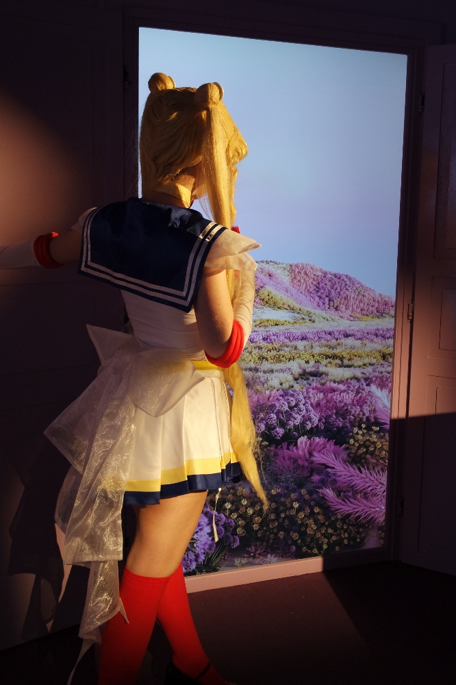 Sailor Moon — photo 27