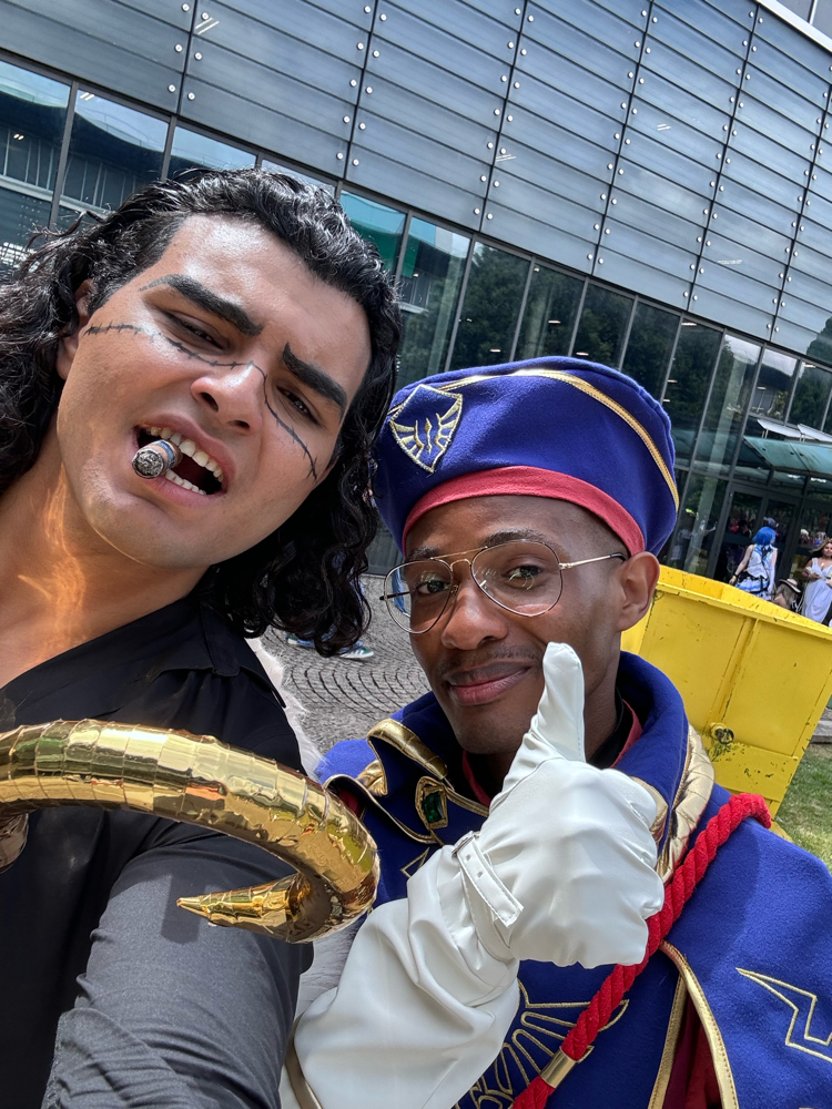 Link royal guard - Photo 5