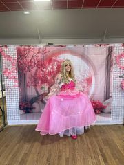 Princesse Aurore preview 2