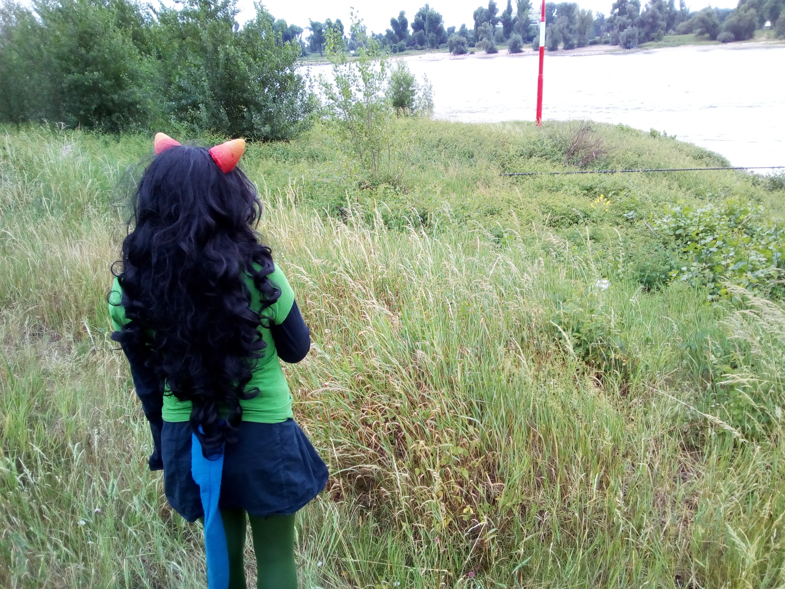 Meulin Leijon — photo 27