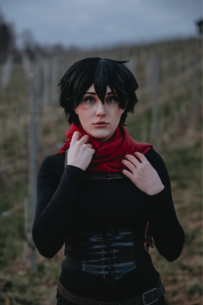 Mikasa e su casa — photo 7