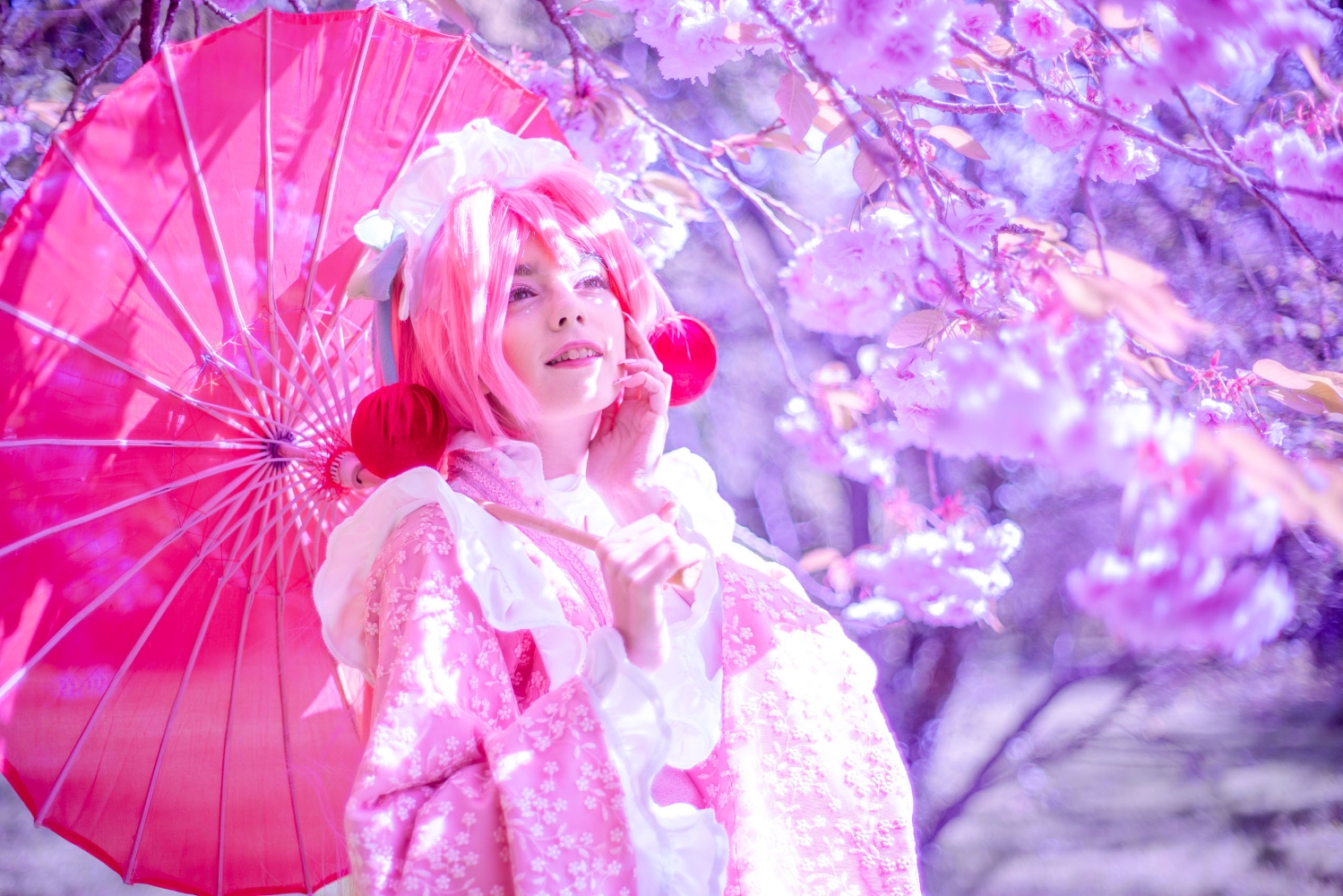 Sakura Miku -Hanami- — photo 15