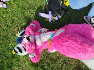 Folie furmeet preview 2