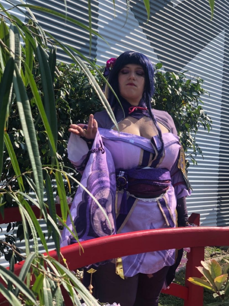 Raiden Shogun - Photo 4