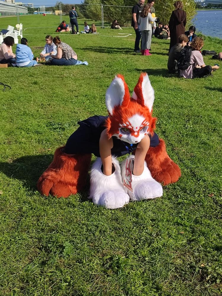 Folie furmeet - Photo 2