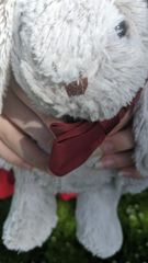 Elisa preview 3