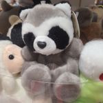 Raccoonmars