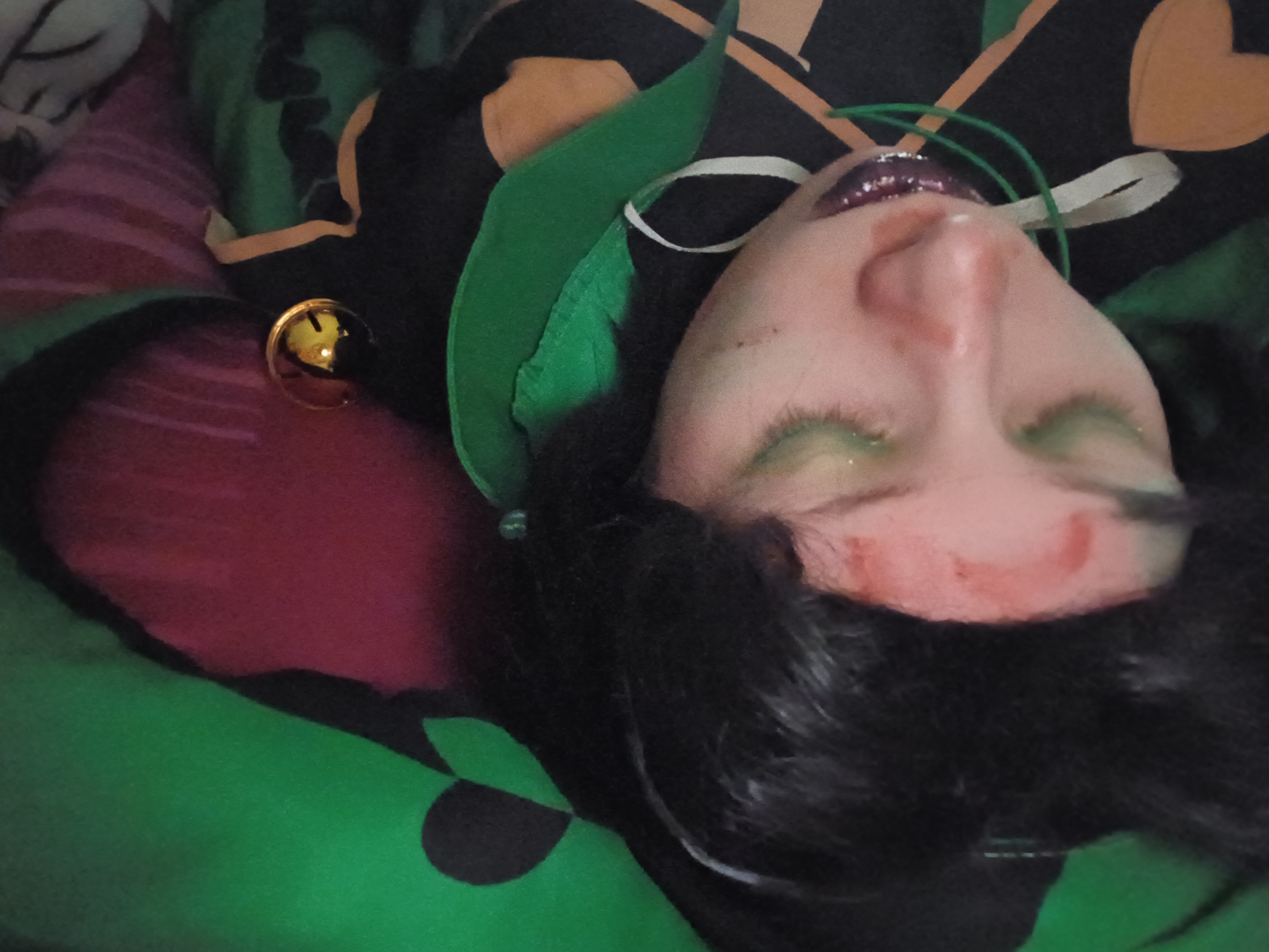 Harlequin, photo 35
