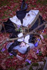 Suigintou roseraie preview 2