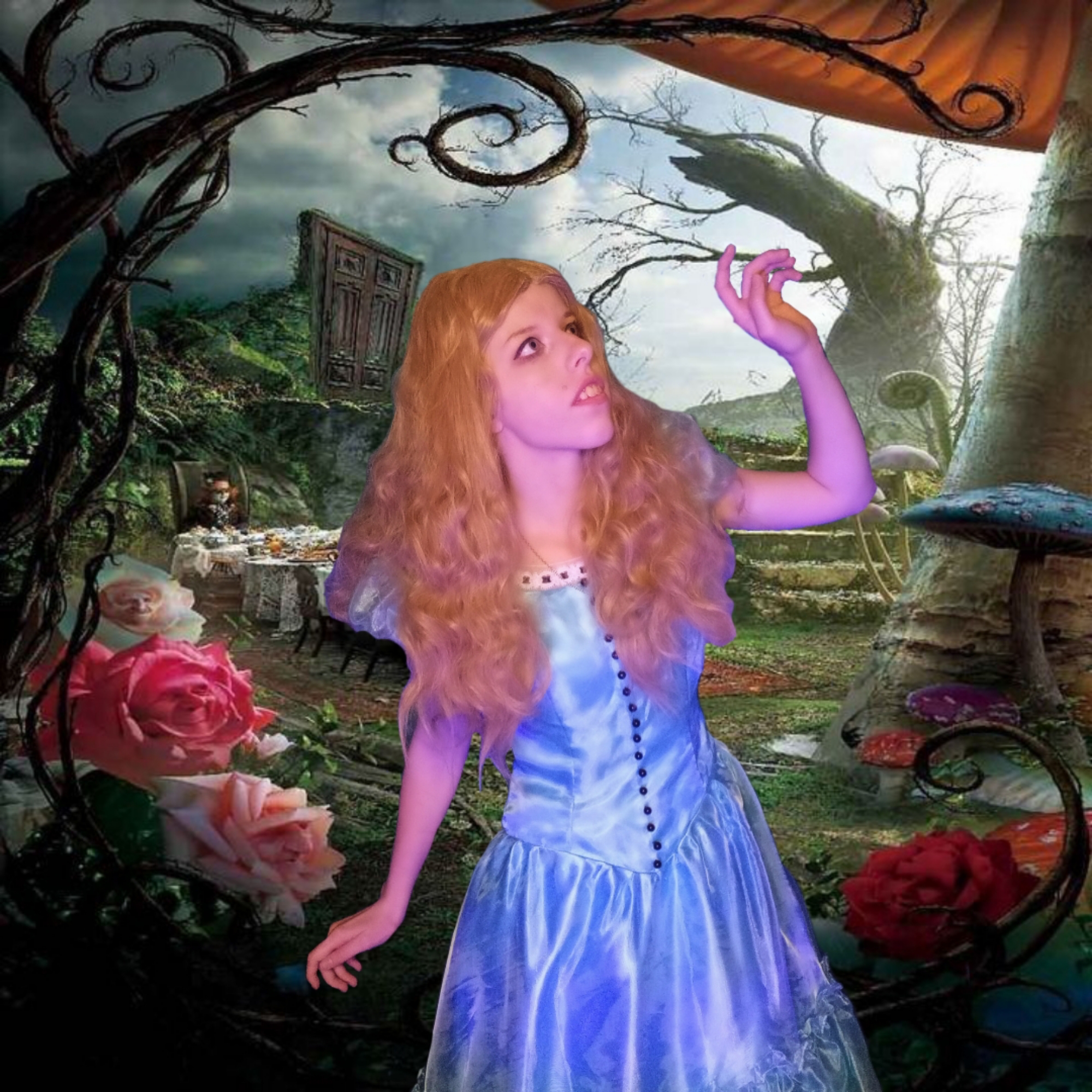 Alice Tim Burton ver — photo 5